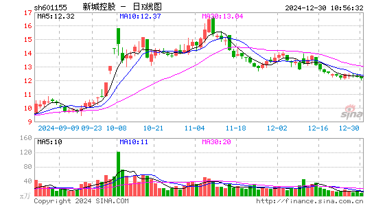 新城控股