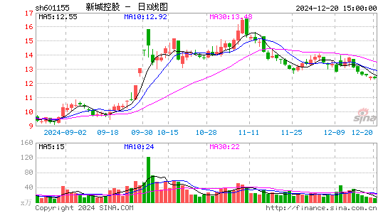 新城控股