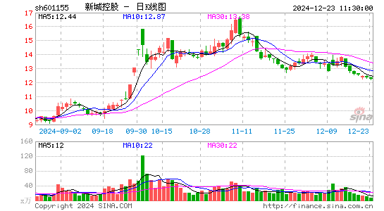 新城控股