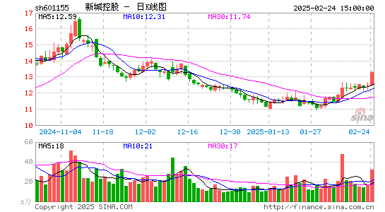 新城控股