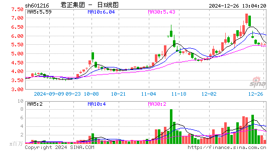 君正集团