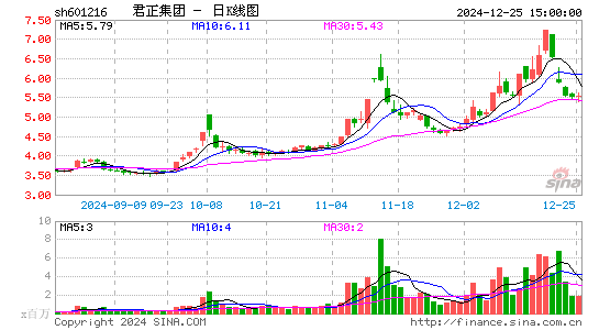 君正集团