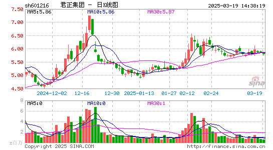 君正集团