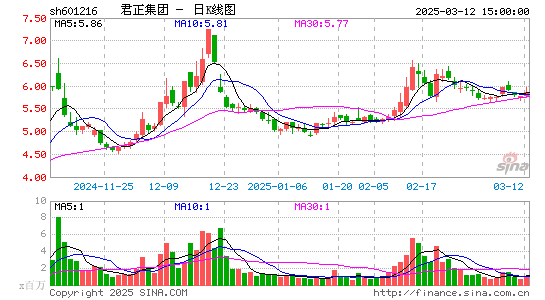 君正集团