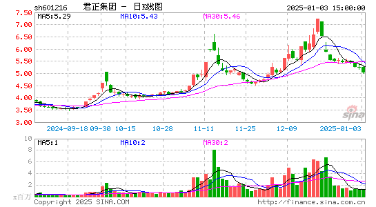 君正集团