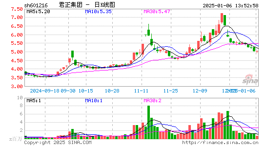 君正集团