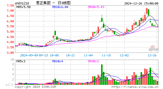 君正集团