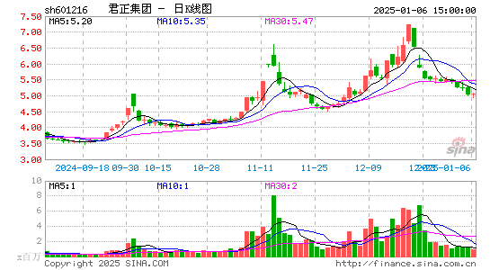 君正集团