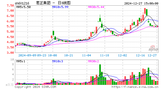 君正集团