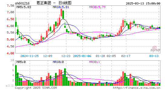 君正集团