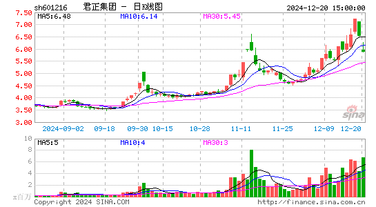 君正集团