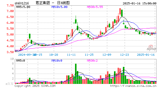 君正集团