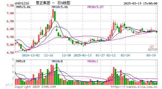 君正集团