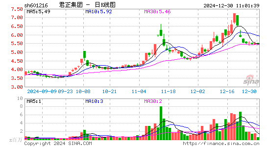 君正集团