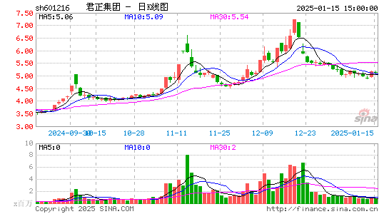 君正集团