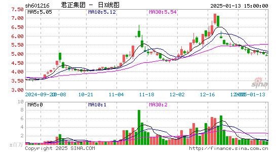 君正集团