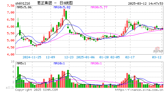 君正集团