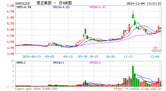 君正集团