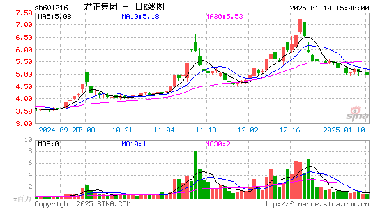 君正集团