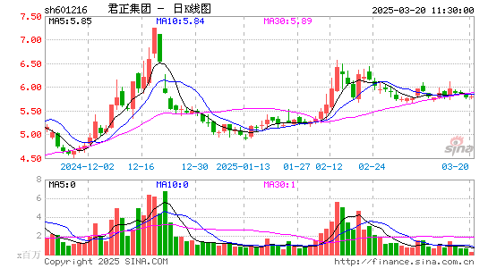 君正集团