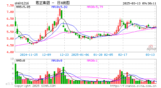 君正集团