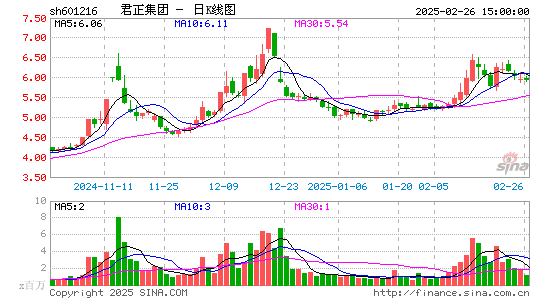 君正集团