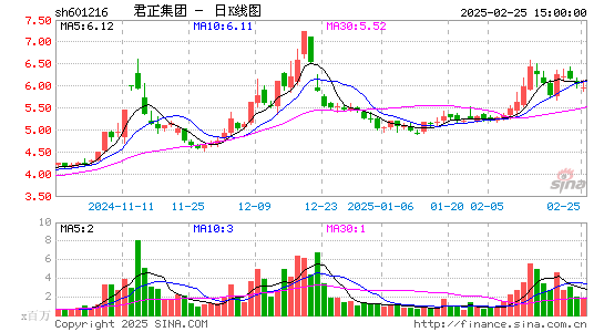 君正集团