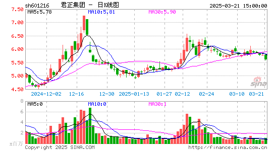 君正集团