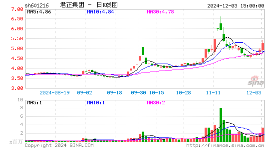 君正集团