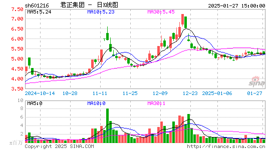 君正集团