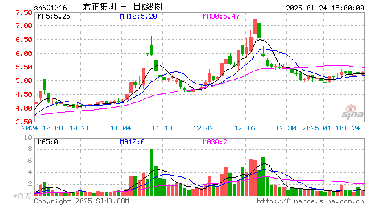 君正集团