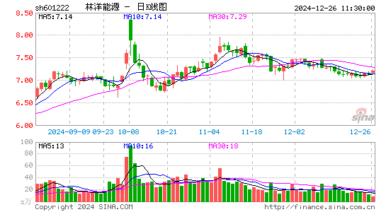 林洋能源