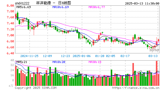 林洋能源