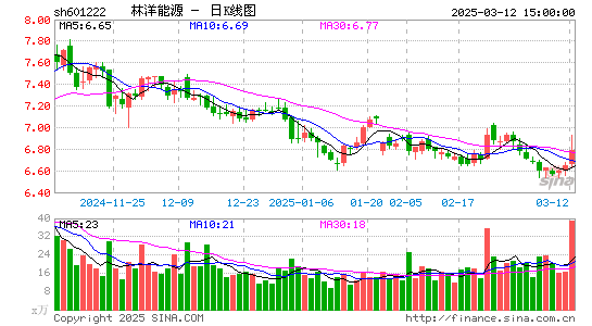 林洋能源