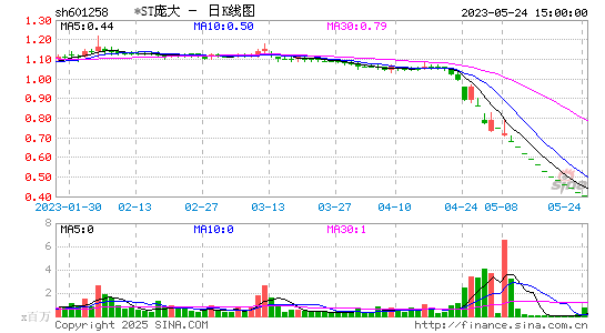 庞大集团