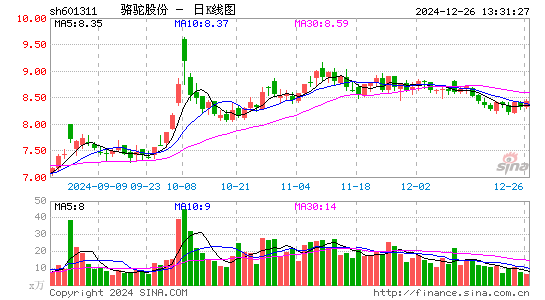 骆驼股份