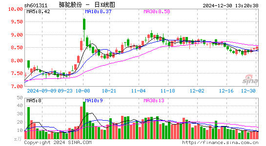 骆驼股份