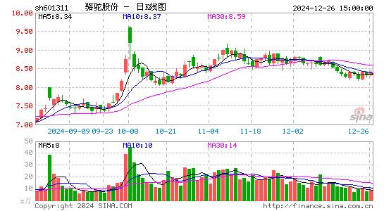 骆驼股份