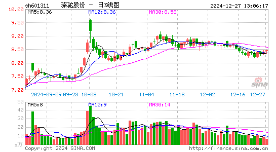 骆驼股份