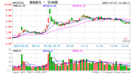 骆驼股份