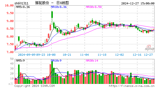 骆驼股份