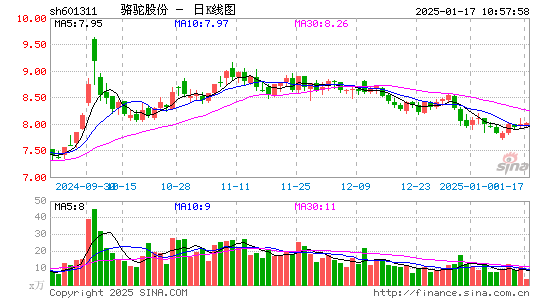 骆驼股份