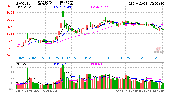 骆驼股份