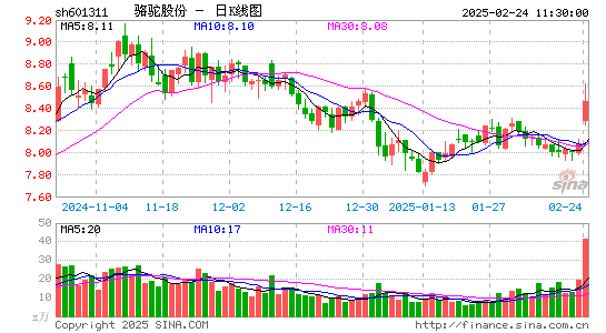 骆驼股份