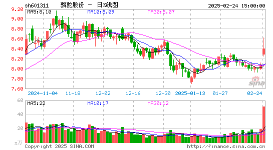 骆驼股份