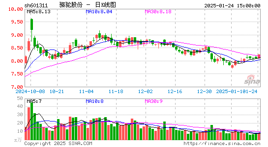 骆驼股份