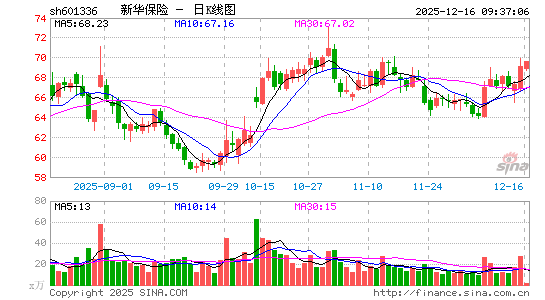 �»�����