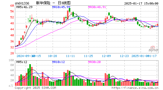 新华保险