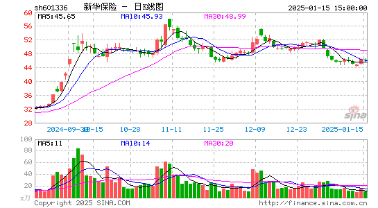 新华保险