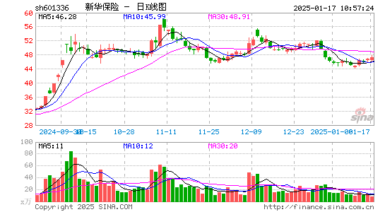 新华保险